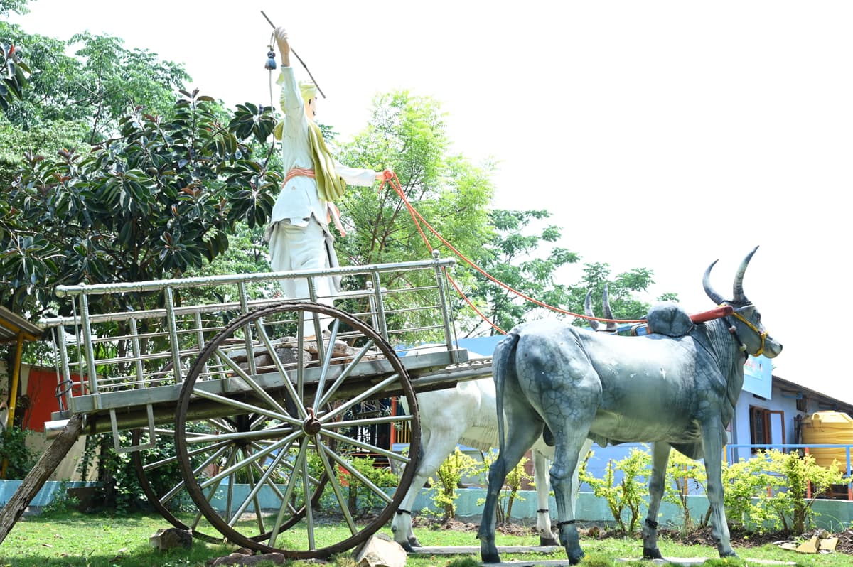 Gandhagudi Garden