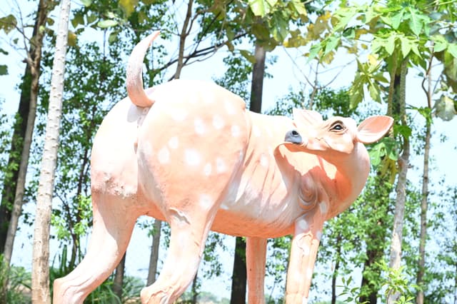 Deer in Farm