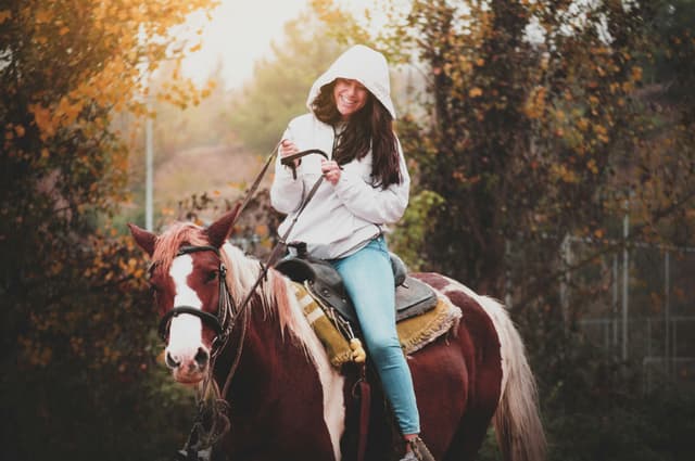 Horse Riding 2
