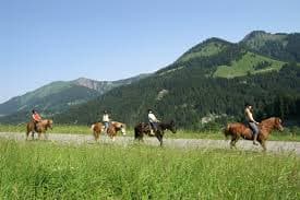 Trail Riding