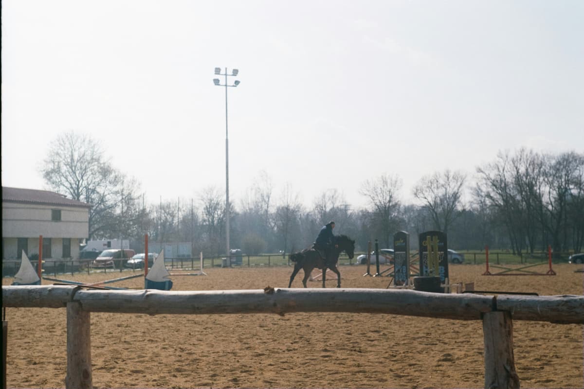 Horse Riding Lessons