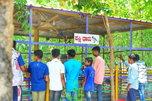 Kids Activity 12