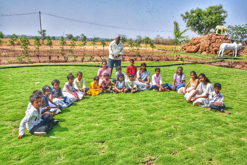 Lawn Garden