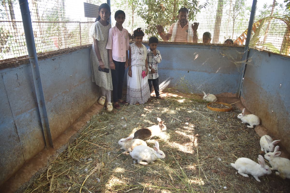 Farm Tour