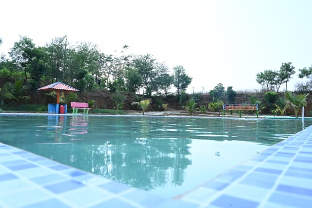 Swimming Pool 2