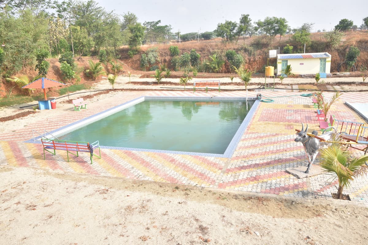 Recreational Swimming